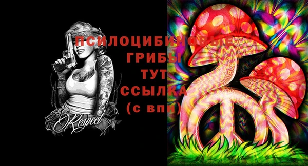 дурь Аркадак